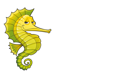 Zeepaardje.png