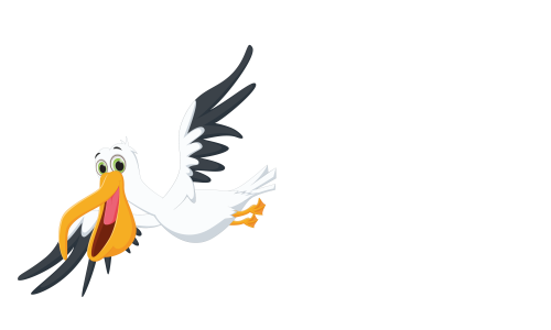 Pelikaan.png