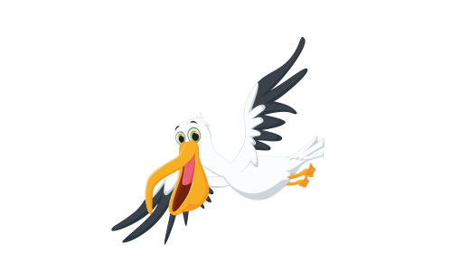 Tekengebied 1pelikaan x4